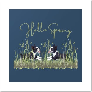 Boston Terrier Dog in Meadow with Hello Spring Sign Posters and Art